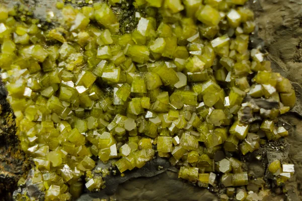 Bright green pyromorphite mineral crystals
