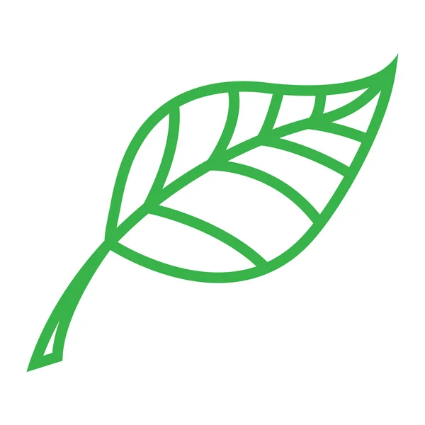 Green Nature Leaf Vector Icon