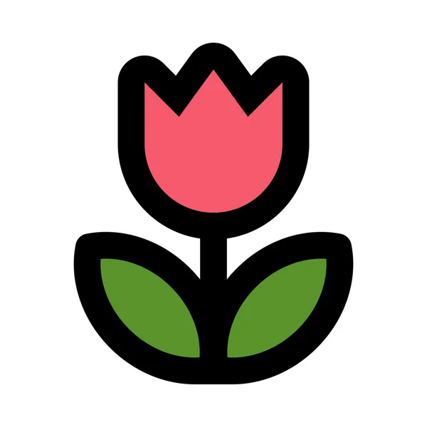 Tulip Flower Vector Icon