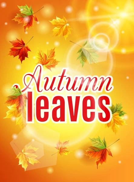 Bright fall poster with warm sunshine, autumn maple leaves, the effect of the sun glow