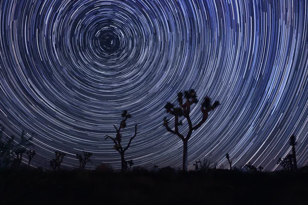 Star Trails and Milky Way in Joshua Tree National Park