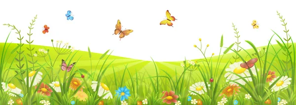 Summer and spring meadow banner