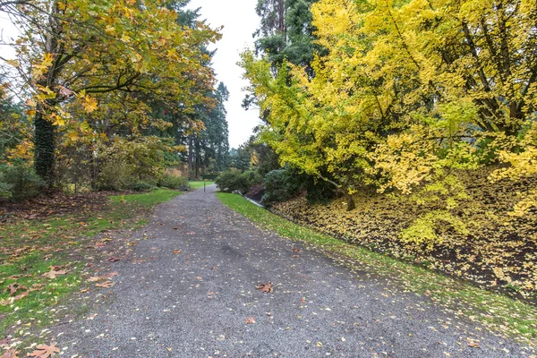 Path in empty forest park