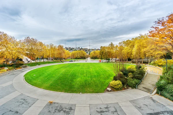 Round grassland and forest in Seattle center