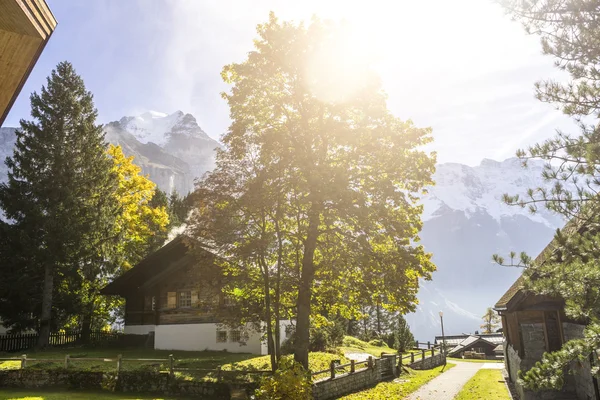 Houses in forest near Alps mountains in Switzerland