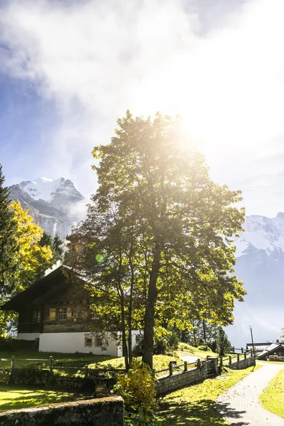 Houses in forest near Alps mountains in Switzerland