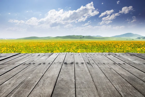 Meadow and wildflower background