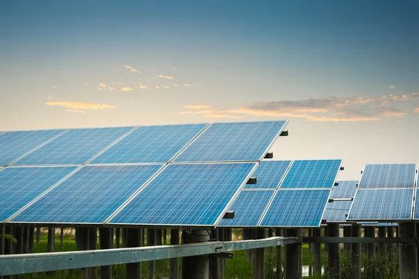 Solar farm at dusk