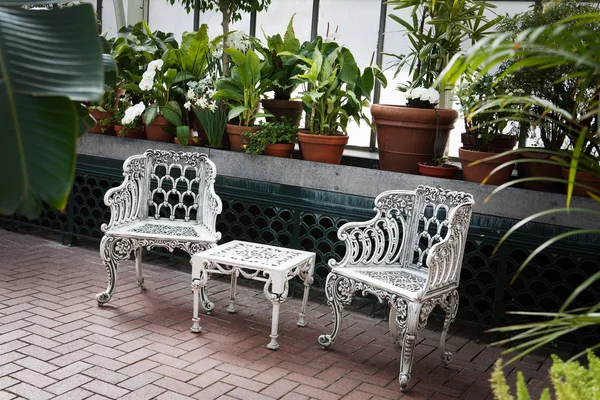 White chairs and table infront a ledge with plants growing