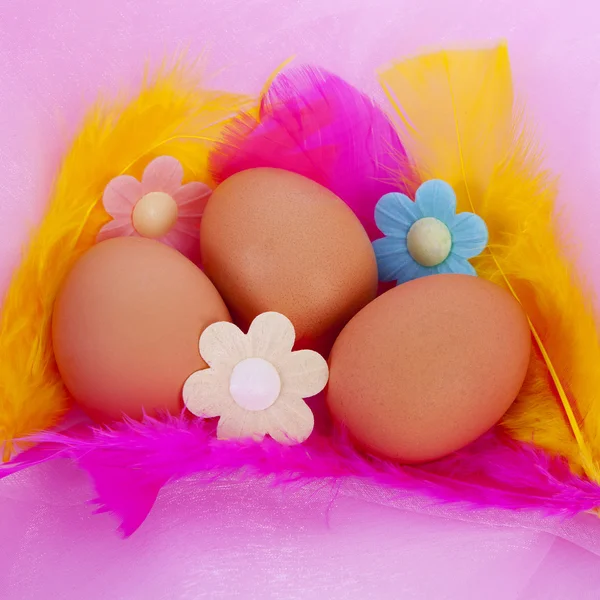 Easter chicken eggs with feathers and flowers