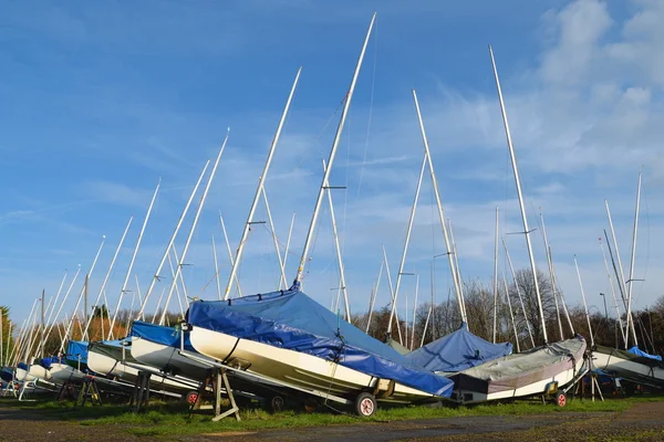 Group of sailing boats