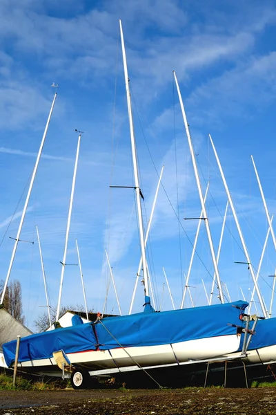 Group of sailing boats