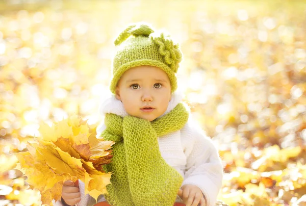 Autumn Baby Portrait In Fall Yellow Leaves, Little Child In Woolen Hat, Beautiful Kid in Park Outdoor, Knitted Clothing for October Season