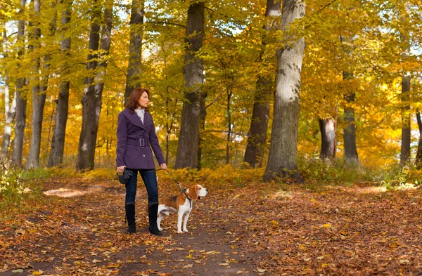 Woman with dog in autumn park