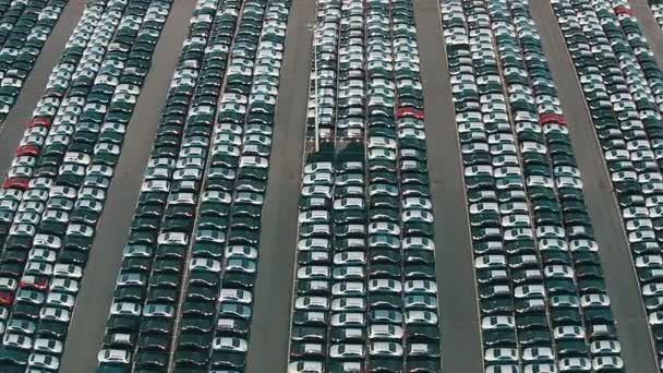 What happens to all unsold new cars?