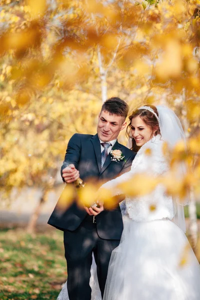 Wedding couple in autumn park