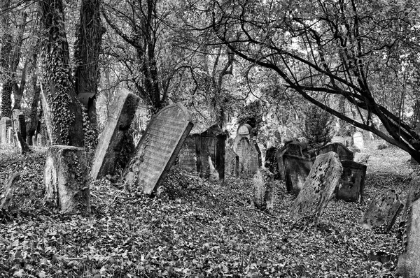 Old Jewish Cemetery