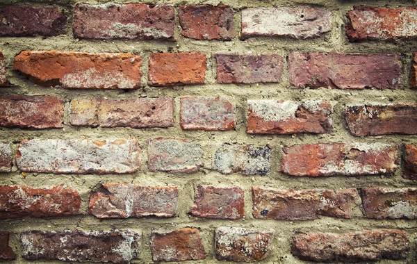 Red brick background