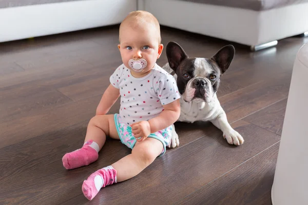 Baby girl sitting with french bulldog