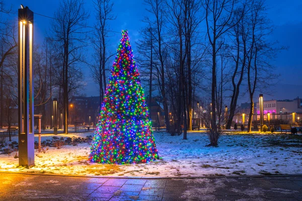 Christmas tree lights in the park