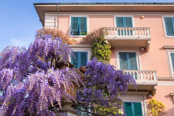 Italian architecture of Pisa city