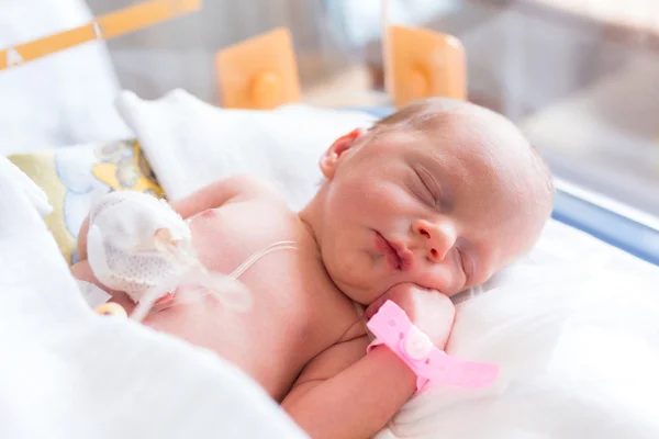 Newborn baby girl in the hospital
