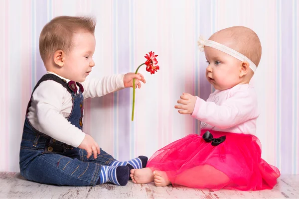Baby boy giving a flower to the girl