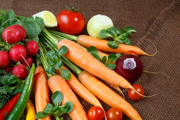 Still life with various fresh organic vegetables