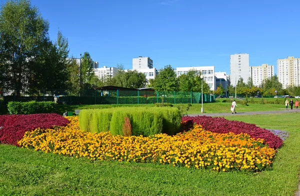 Moscow, Russia - September 01.2016. flower bed in Zelenograd in Moscow, Russia