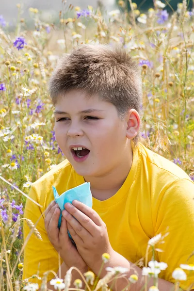 Boy with allergic rhinitis in meadow
