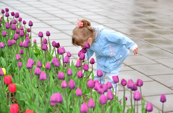 Little girl near the flower beds with tulips