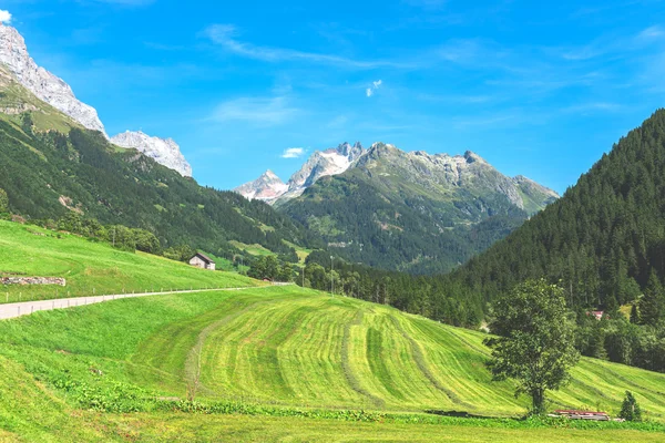 Swiss mountains with green land landscape