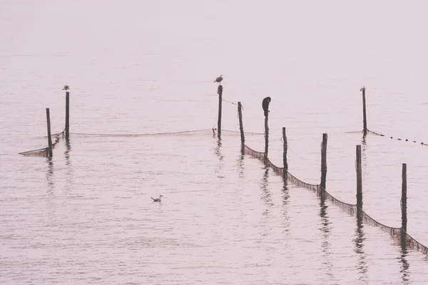 Northern Sea landscape