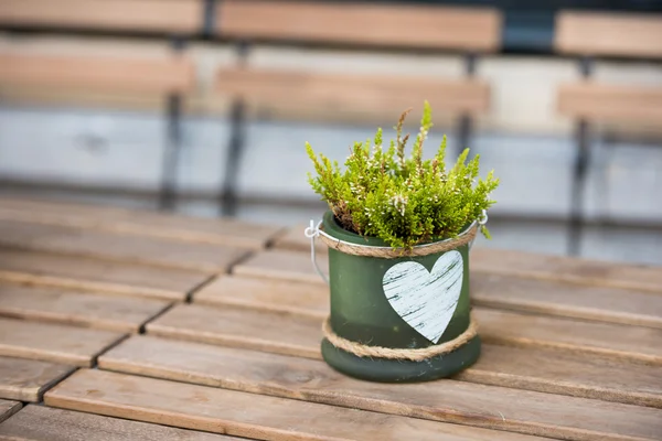 Green pot with flower and heart