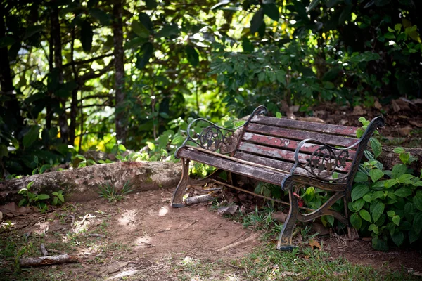 Old wooden bench in a green forest