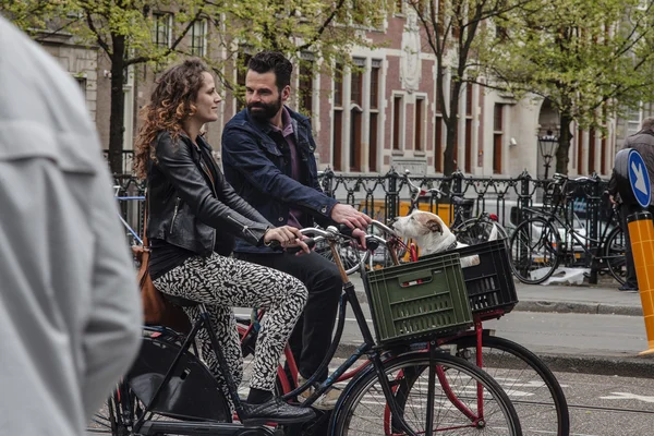 AMSTERDAM, NETHERLANDS - MAY 9: Man and woman with dog riding bicycles in historical part in Amsterdam, Netherlands on May 9, 2015