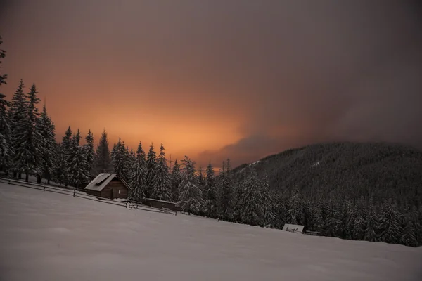 Wooden house in winter forest in Crrpathian mountains