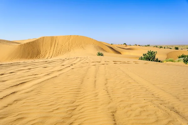 Sand dunes, SAM dunes of Thar Desert of India with copy space