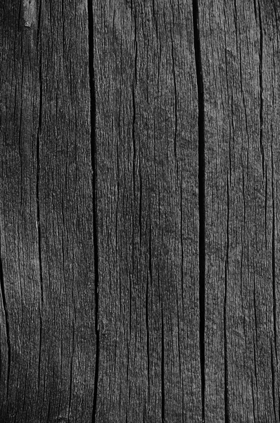 Wooden Plank Board Grey Black Wood Tar Paint Texture Detail, Large Old Aged Dark Gray Detailed Cracked Timber Rustic Macro Closeup Pattern, Blank Empty Vertical Rough Textured Copy Space Grunge Weathered Vintage Woodwork Painted Background