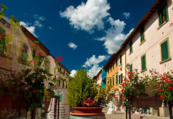 Gaiole   town in Italy