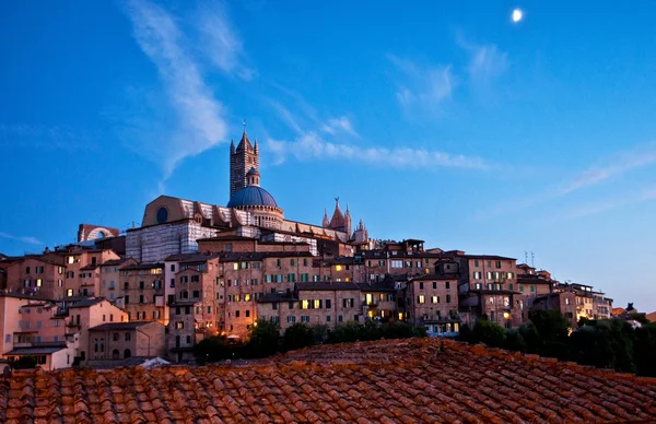 Nice houses in the old town of Siena