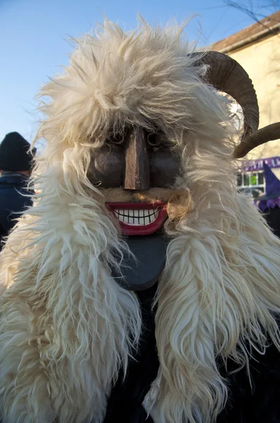 Unidentified people in mask at the Mohacsi Busojaras carnival