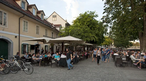 Nice houses in the old town of Ljubljana