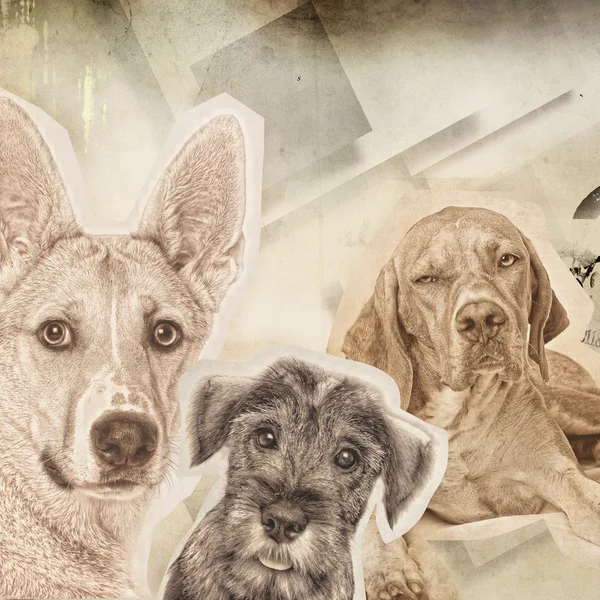 Vintage background with dogs