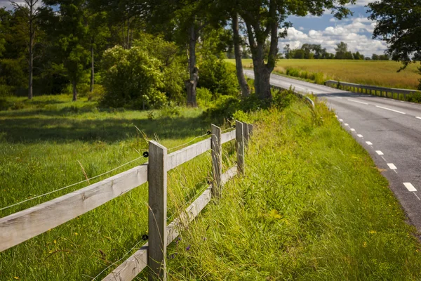 Countryside road fence