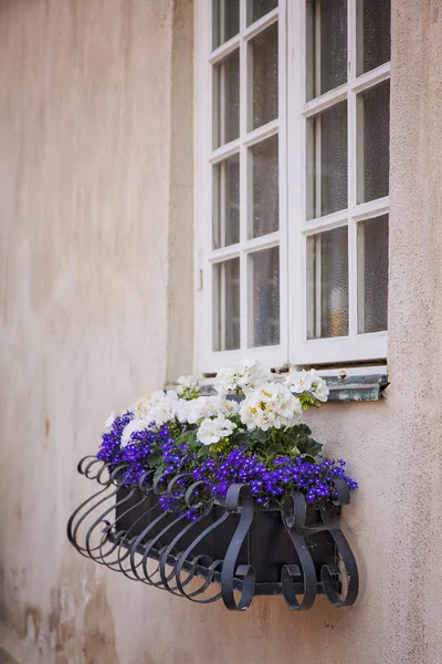 Window flower box