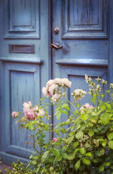 Old door and rosebush