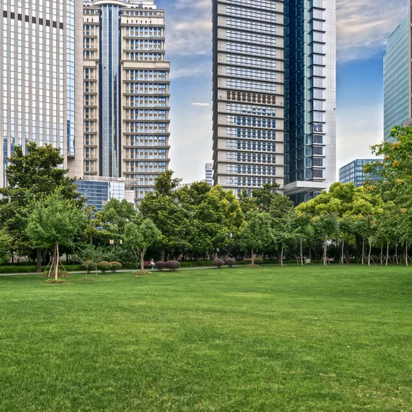 Lawn and city