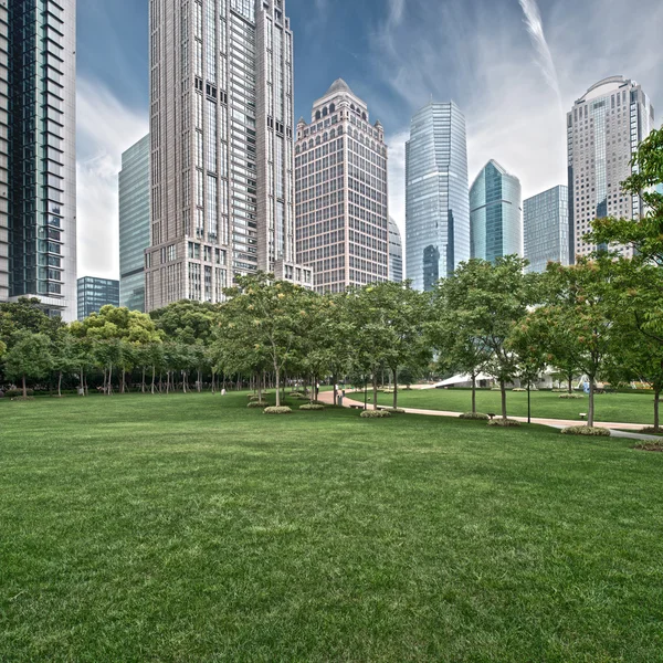 Lawn and city