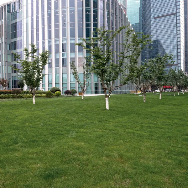 Lawn and city